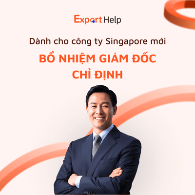 Bổ nhiệm giám đốc Nominee Director Singapore 