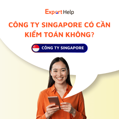 Công ty Singapore có cần kiểm toán không
