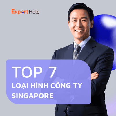 loại hình công ty Singapore phù hợp